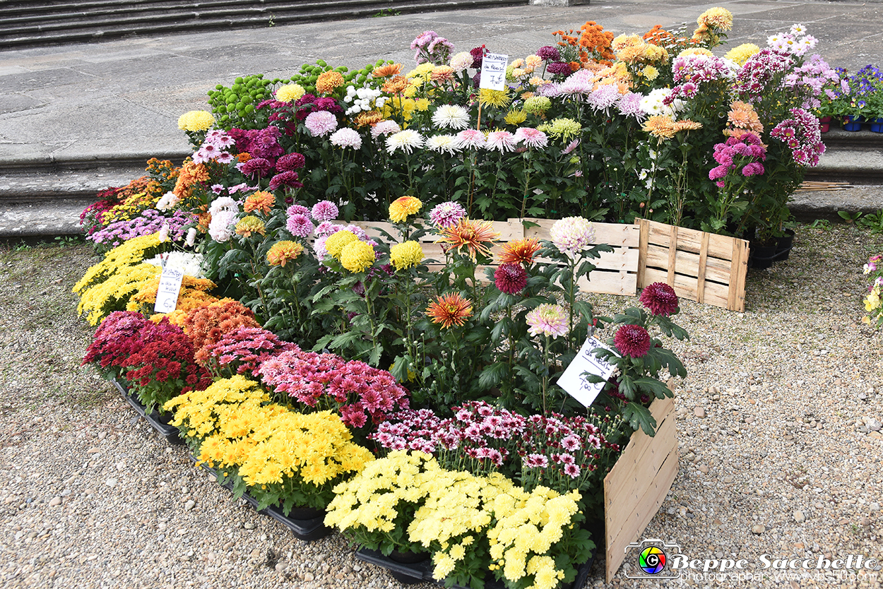 VBS_3557 - Floreal 2023 - Vivere con le piante.jpg